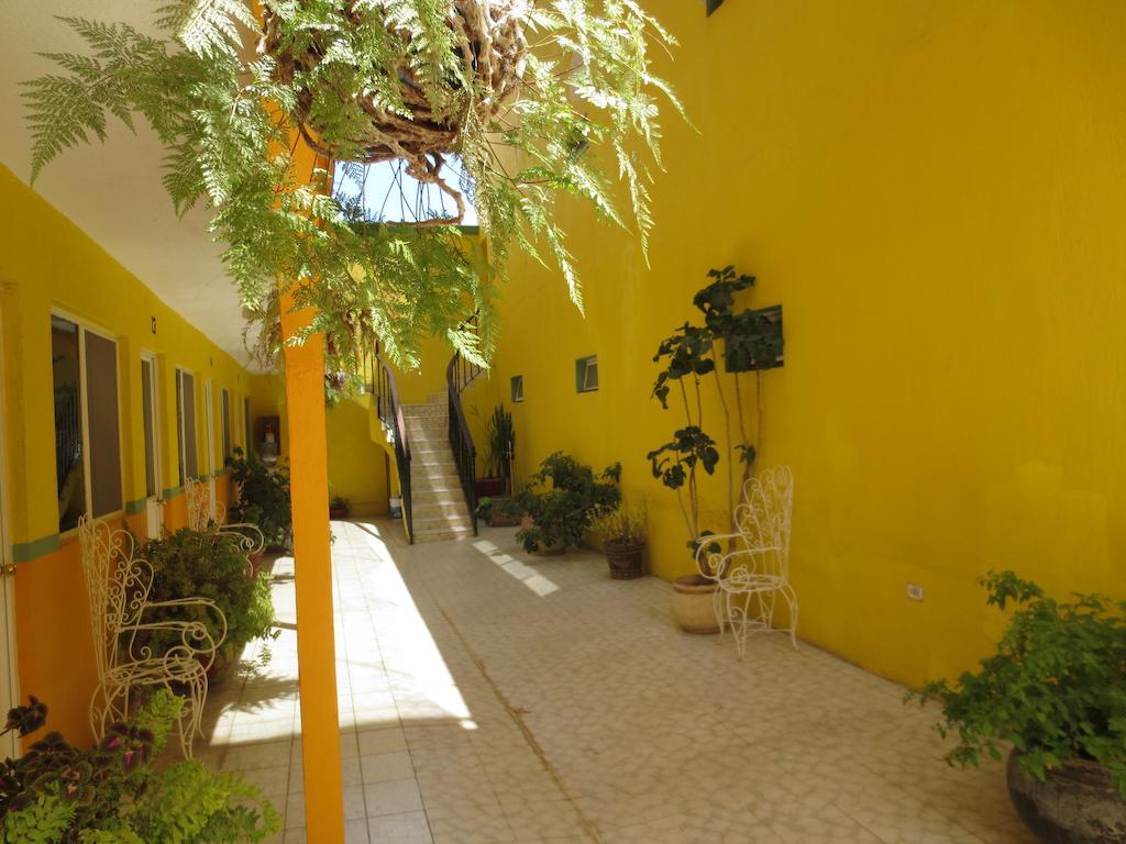 Hotel Maria Esther Матеуала Экстерьер фото
